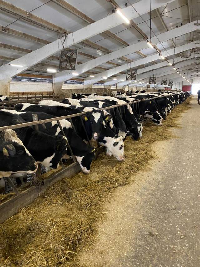 За январь текущего года надой молока в расчёте на одну корову по сельскохозяйственным организациям увеличился на 6,6% и составил 435 кг.