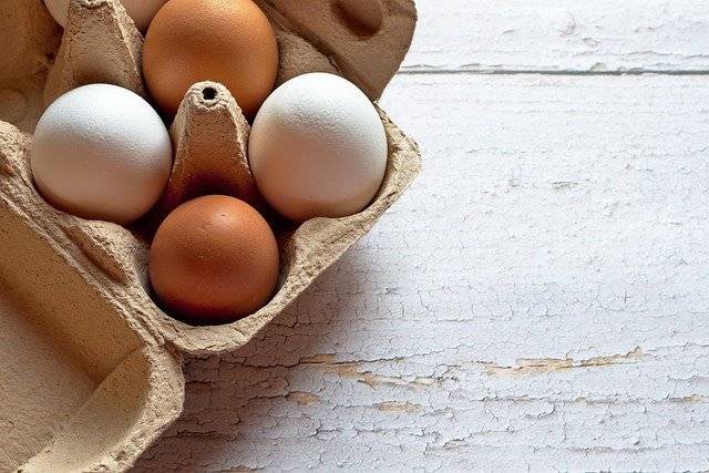 Открытие птицерепродуктора поможет компании «Белгранкорм Великий Новгород» снизить зависимость от поставок импортного куриного яйца.