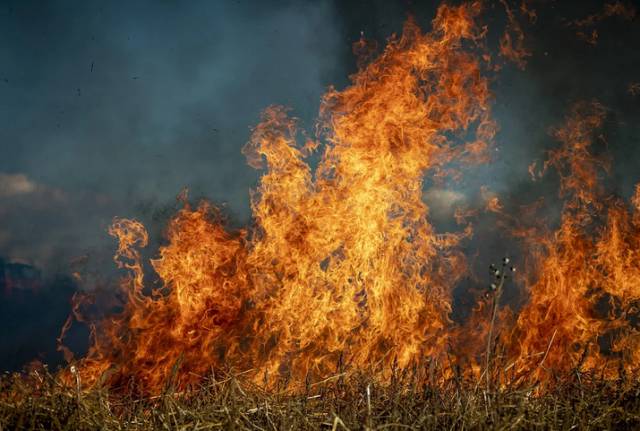 Больше всего населённых пунктов, подверженных угрозе лесных пожаров, находится в Окуловском районе.