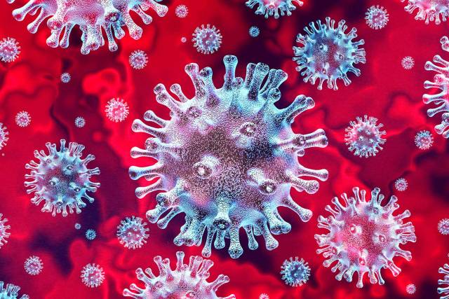 В Новгородской области за минувший день выявили 19 случаев коронавируса