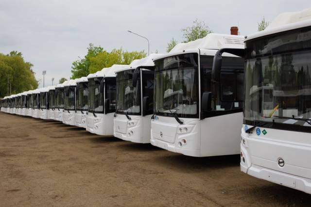 Низкопольные автобусы большого класса будут обслуживать магистральные маршрутах с интенсивным пассажиропотоком