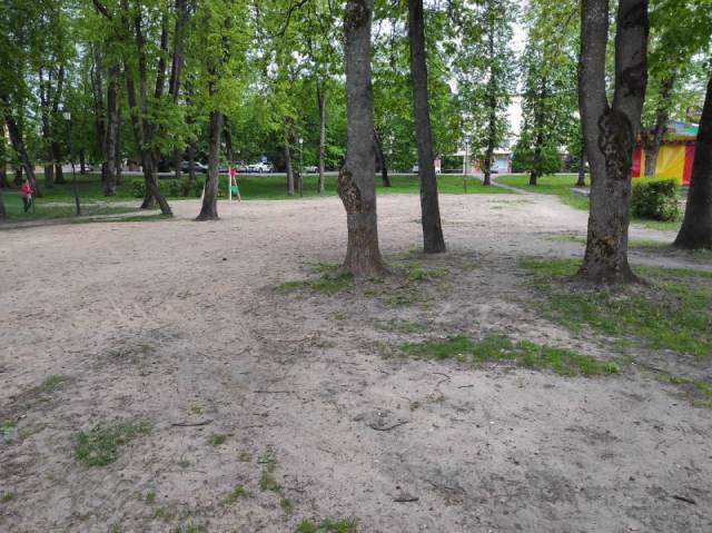 Муниципальное учреждение «Парки Великого Новгорода» разрабатывает концепцию развития территории Кремлёвского парка