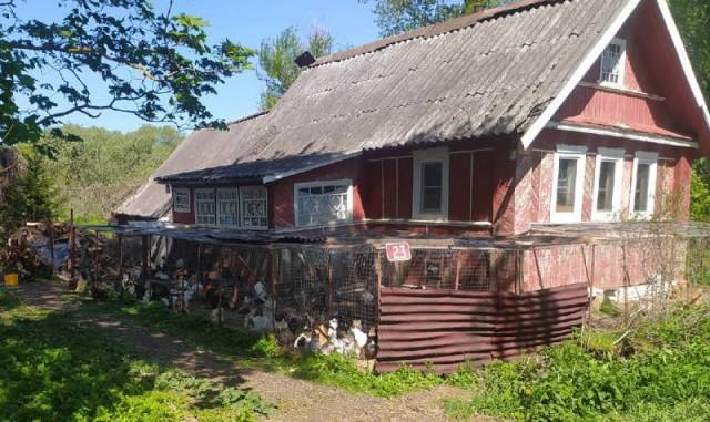 «Кошкин дом» в N-ской деревне Волотовского района.
