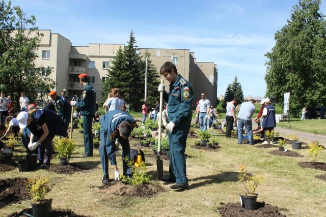 Участники акции «Сад памяти» высадили более 70 кустарников в память о погибших в годы ВОВ