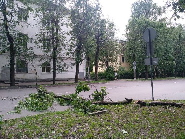 Днём поваленное дерево лежало на проезжей части возле травмпункта на улице Козьмодемьянской.