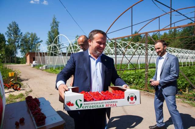 Андрей Никитин купил у фермера ящик клубники для семьи.