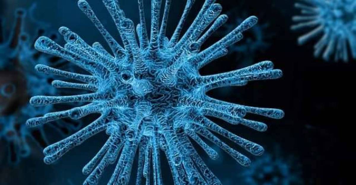В Новгородской области за минувшие сутки выявили 16 заболевших коронавирусом, один человек умер