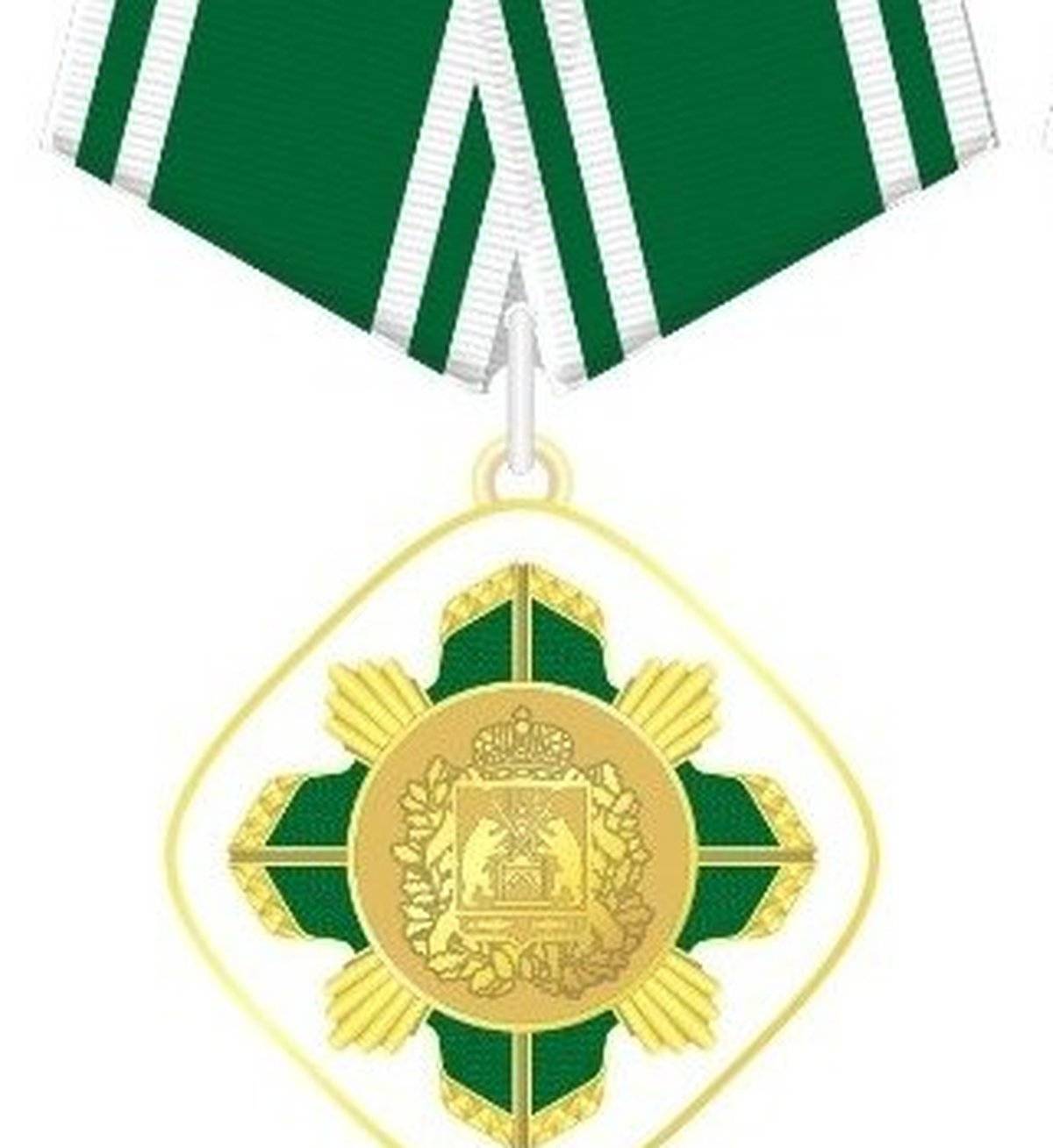 Орденом «За честь и мужество» будут награждать жителей региона, совершивших смелые и решительные действия при исполнении воинского гражданского или служебного долга.