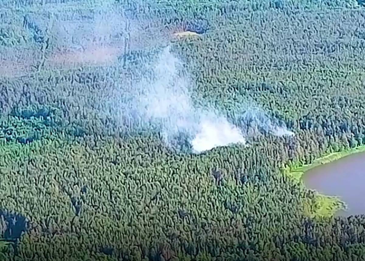 Один лесной пожар обнаружили жители, второй выявили с воздуха.