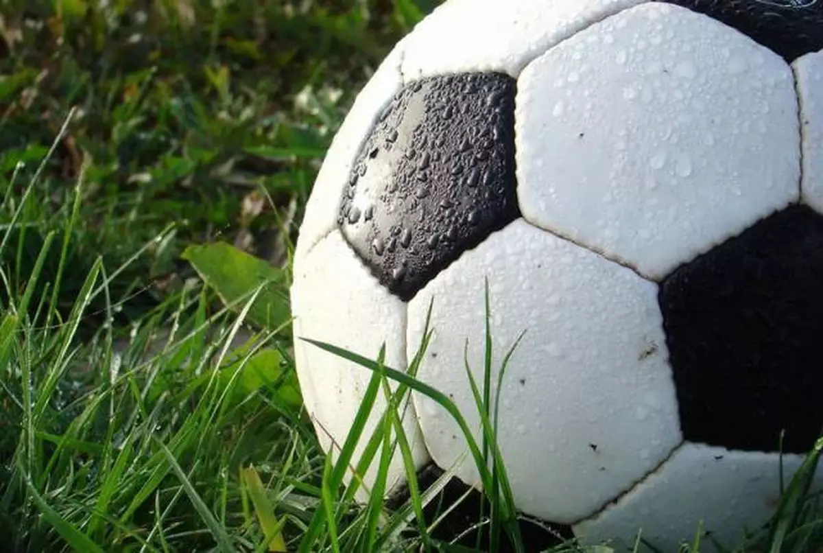 На суде установили, что в селе Бронница в августе 2021 года футбольный мяч угодил в лобовое стекло ехавшего по дороге автомобиля.