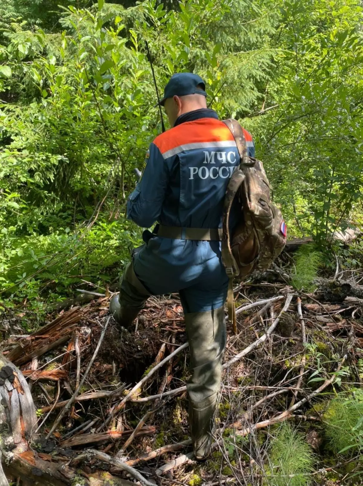 Спасатели напоминают о необходимости соблюдения правил безопасности при посещении леса.