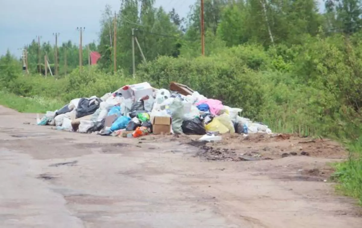 За выброс мусора из автомобиля и прицепа к нему не на контейнерных площадках штрафы для физических лиц составят от 10 до 15 тысяч рублей.