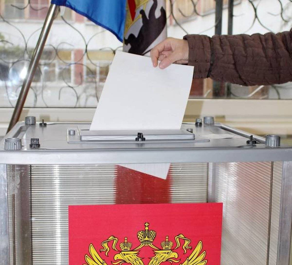 Жители Новгородской области смогут принять участие в выборах онлайн.