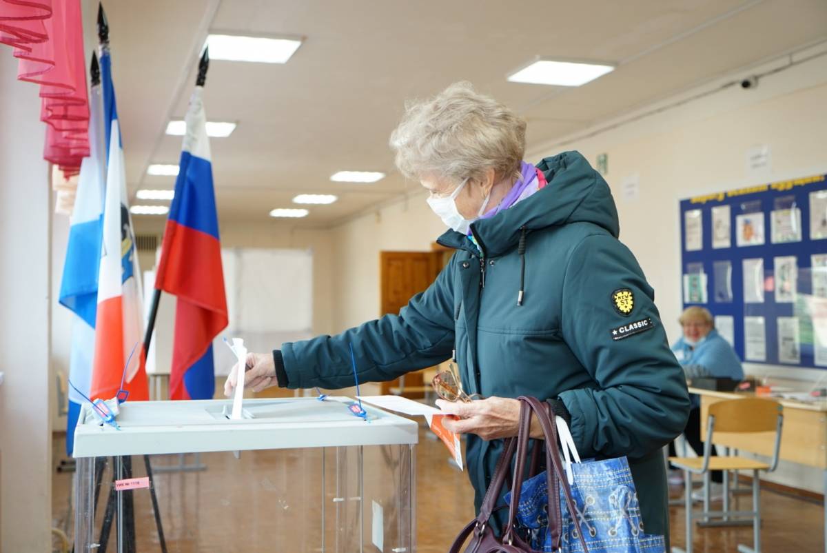 Выборы в Новгородской области признаны состоявшимися