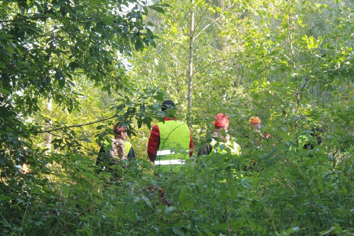 Главное управление МЧС России по Новгородской области напоминает о необходимости соблюдения правил безопасности при посещении леса
