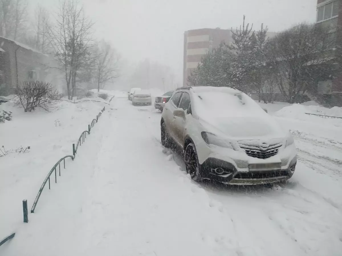 В Новгородскую область идут сильные снегопады и метель.