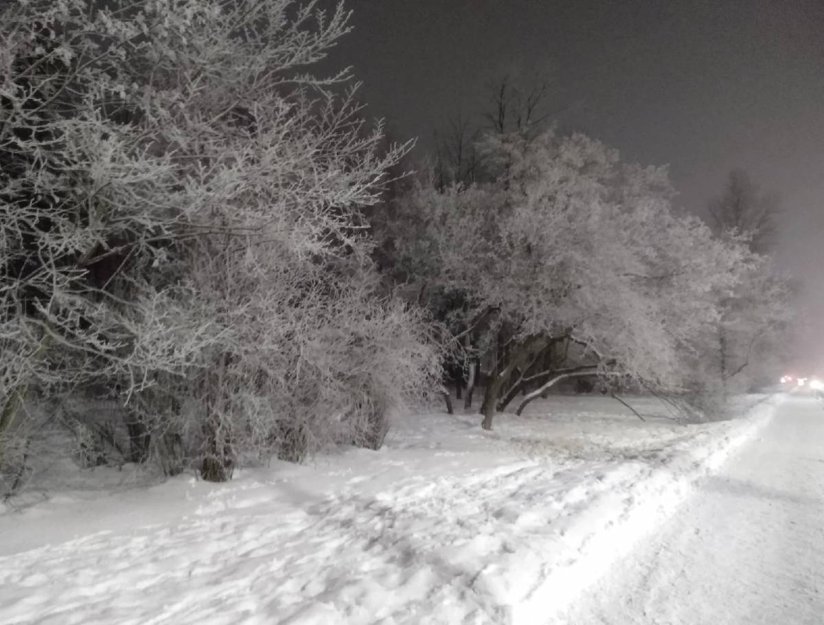 Циклон принёс в Новгородскую область снегопад.