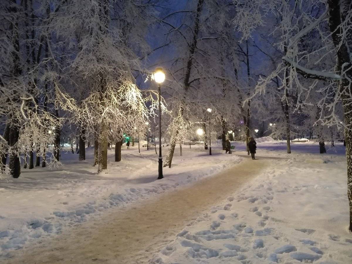 На всей территории Новгородской области ожидаются смешанные осадки – снег с дождём.
