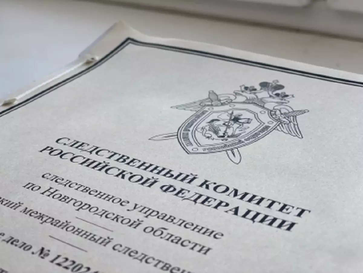 Суд приговорил жительницу Новгородского района к ограничению свободы сроком один год.