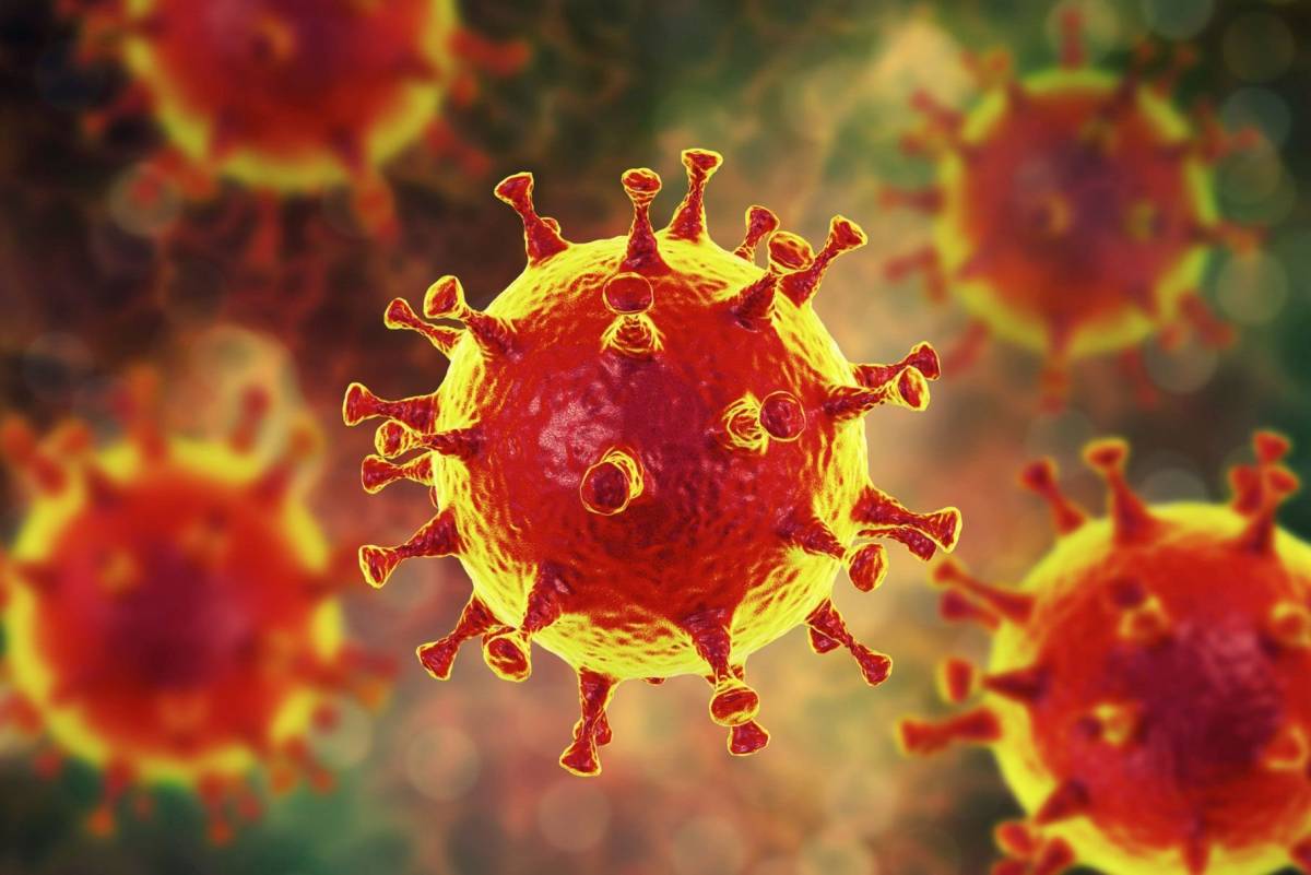 В Новгородской области за минувший день выявили 14 случаев коронавируса