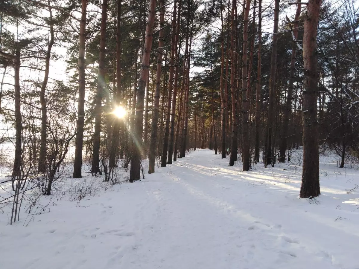 7 февраля наиболее холодную погоду синоптики обещают в Боровичах, Крестцах, Демянске и Пестове.