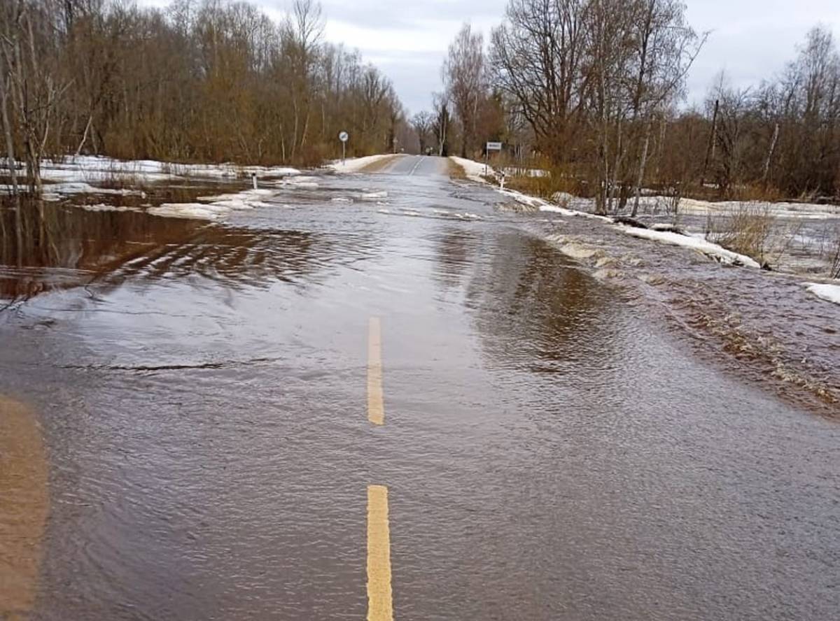 Участок дороги в Поддорском районе перекрыли из-за подъема уровня воды
