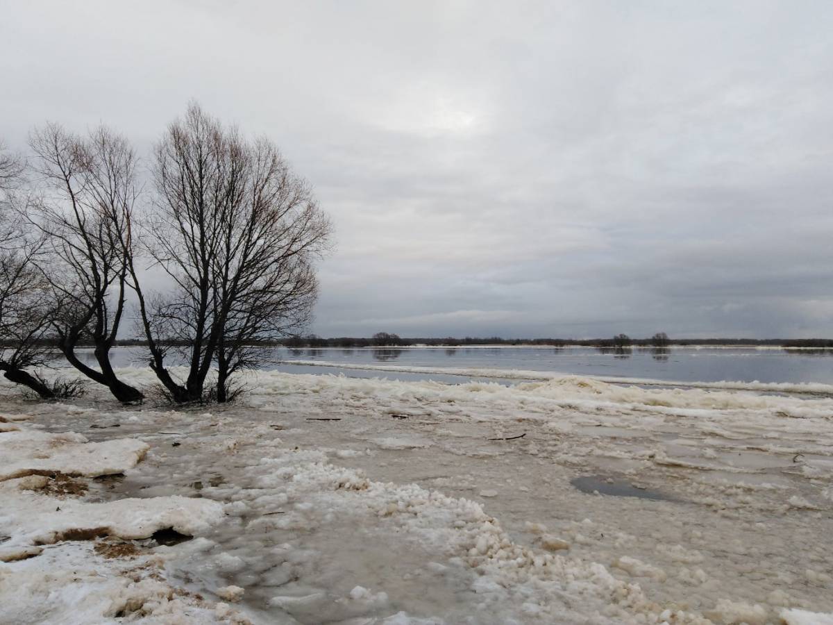 Климатическая норма температуры воздуха в марте в Новгородской области была превышена на 4-5 градусов.