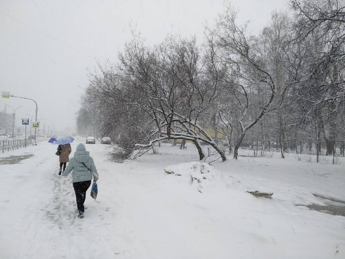 Погода в новгородской области на сегодня. Снежный день. Сегодня день снега.