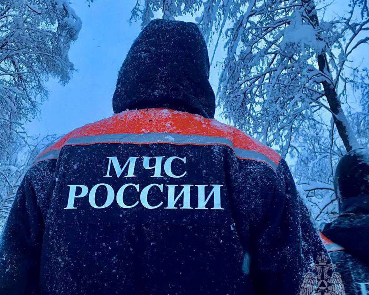 Непогода оставила без электричества 38 населенных пунктов в трех районах Новгородской области