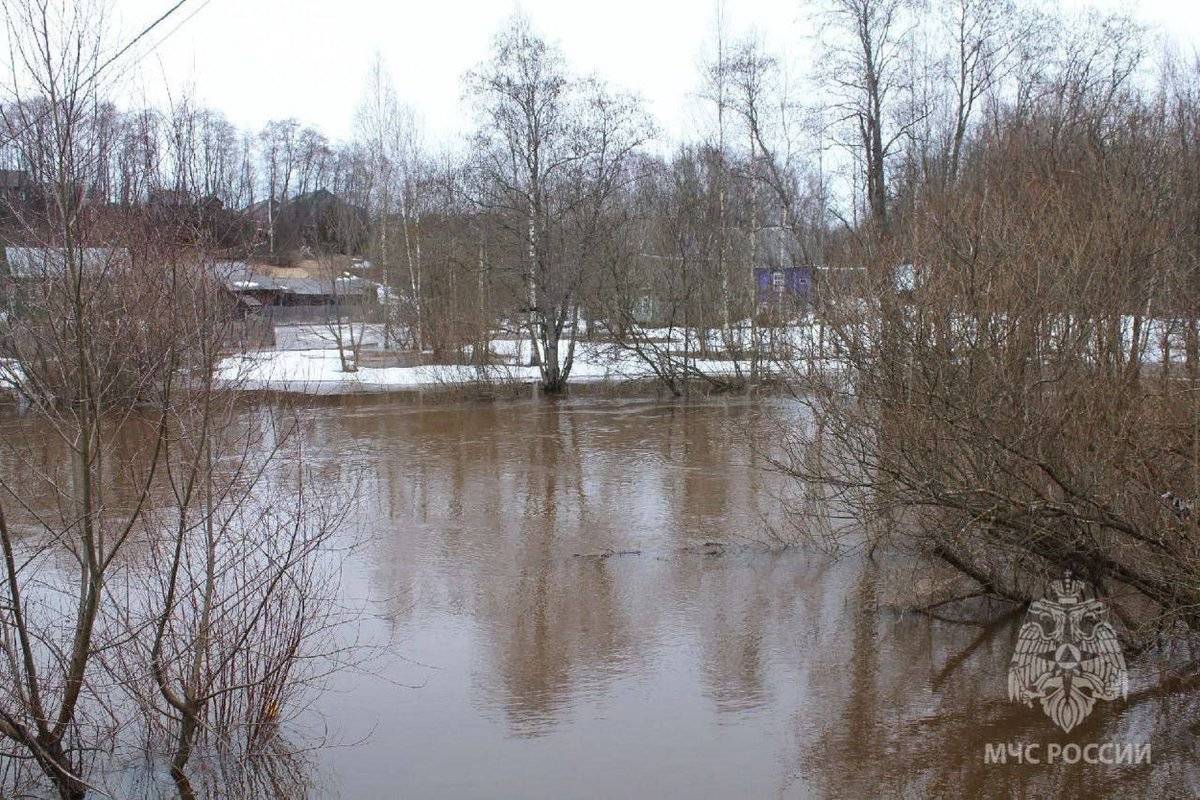 Главное управление МЧС России по Новгородской области оказывает адресную помощь жителям подтопленных территорий.