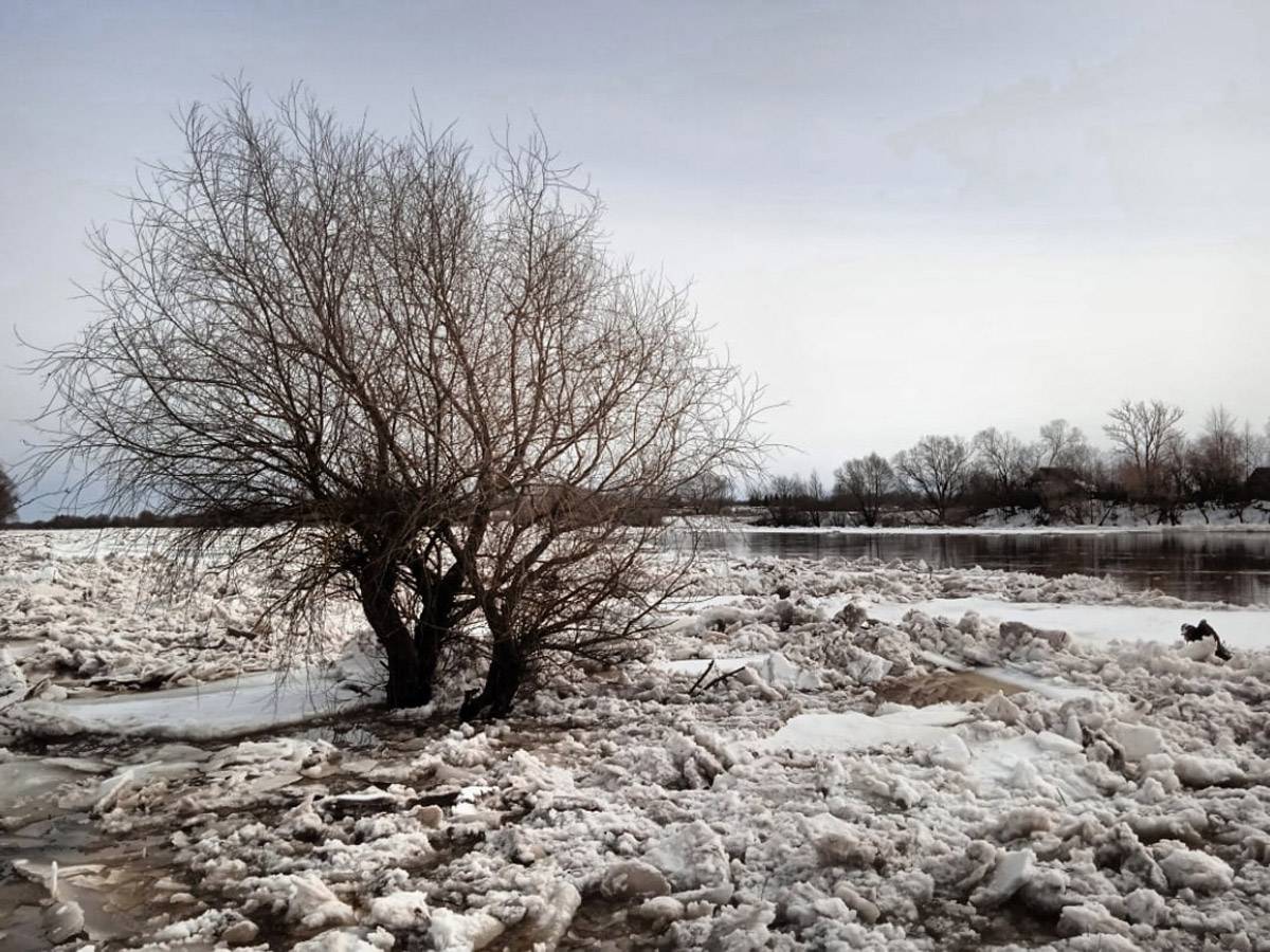 В зоне затопления находится 10 районов Новгородской области, 13 населённых пунктов