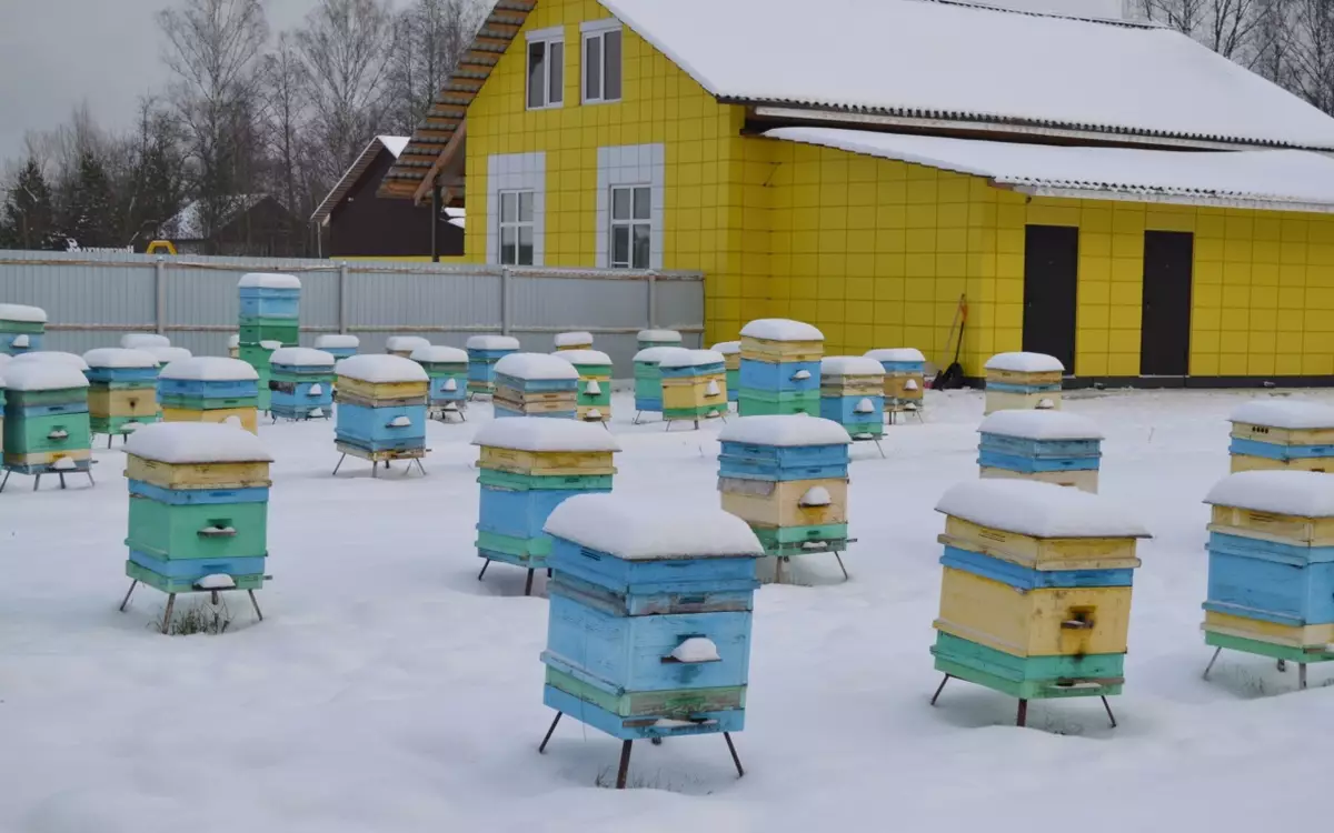 С 1 марта в России начали действовать новые правила ветеринарно-санитарной экспертизы мёда.