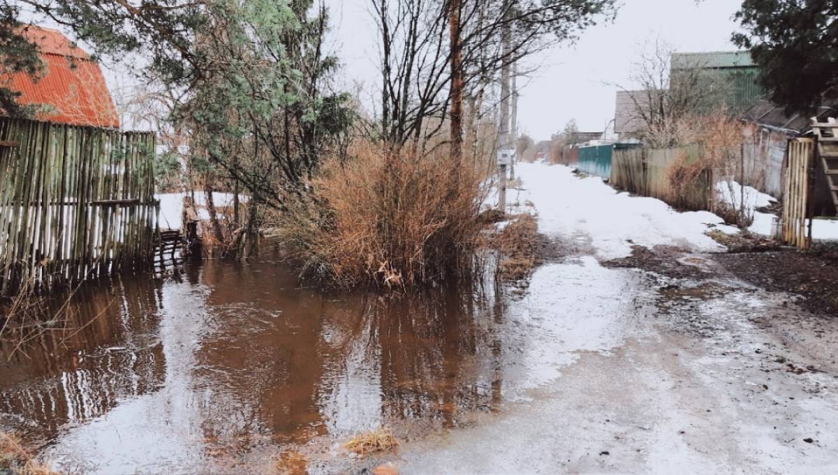 По данным на 9.00, в зоне подтопления остаются 79 участков в 9 районах Новгородской области. На этих территориях проживают 24 человека