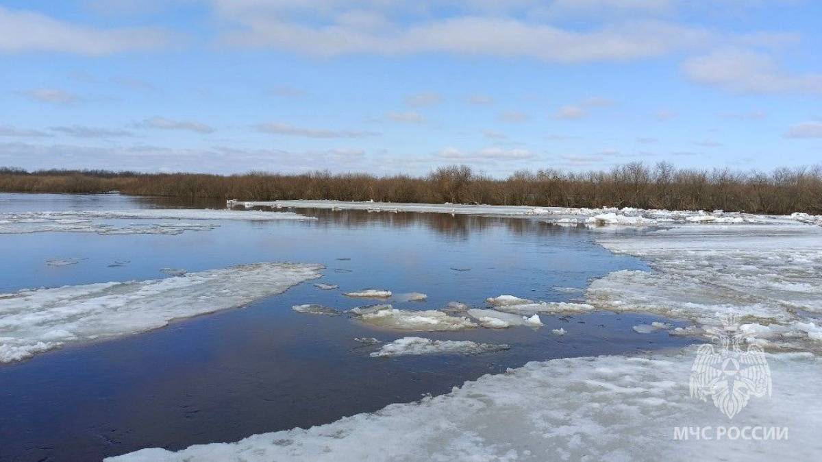 На выходных ожидается достижения неблагоприятной отметки уровня воды в озере Ильмень в Шимском районе и в реке Полисть в Старой Руссе.