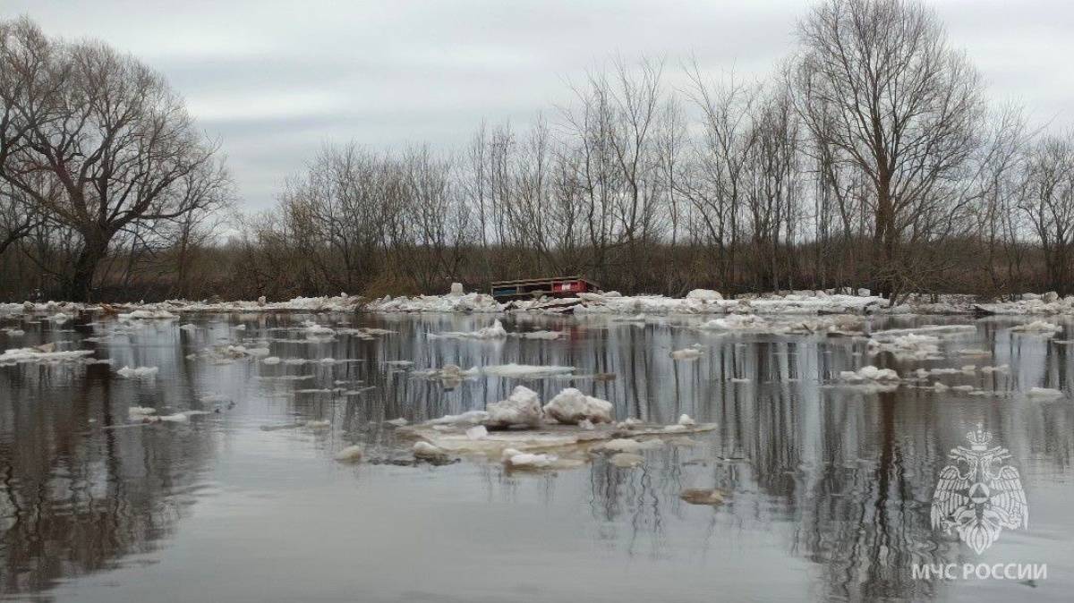 Уровень воды на гидропосте реки Ловать в старорусской деревне Взвад составил 438 см над нулём поста при неблагоприятной отметке 444 см.