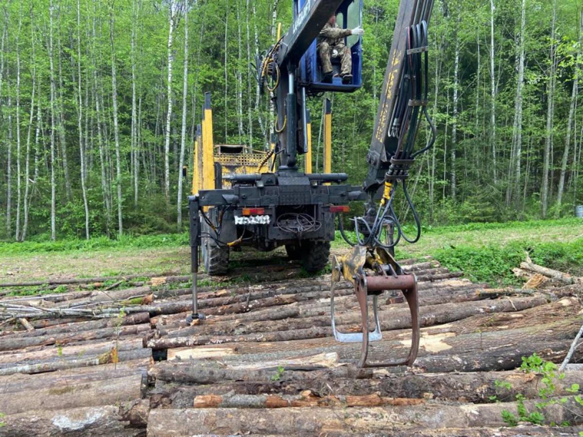 Спиленный лес мужчина продавал деревообрабатывающим предприятиям Новгородской, Псковской, Московской и Тверской областей.