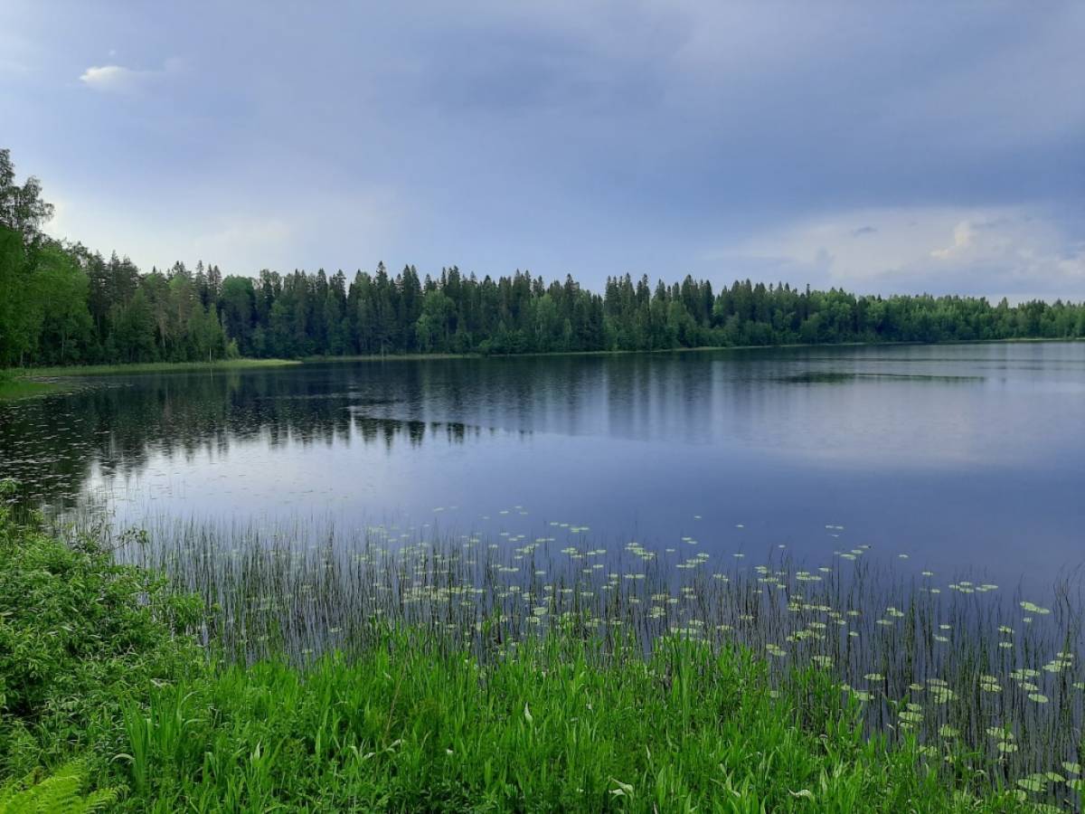 Мужчины незаконно поставили в акватории озера Борисовское Крестецкого района две ставные рыболовные сети.