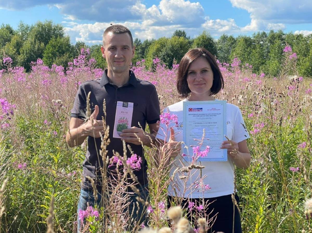 «Емельяновская биофабрика» из Хвойнинского округа стала первым сертифицированным производителем дикорастущих растений в России.
