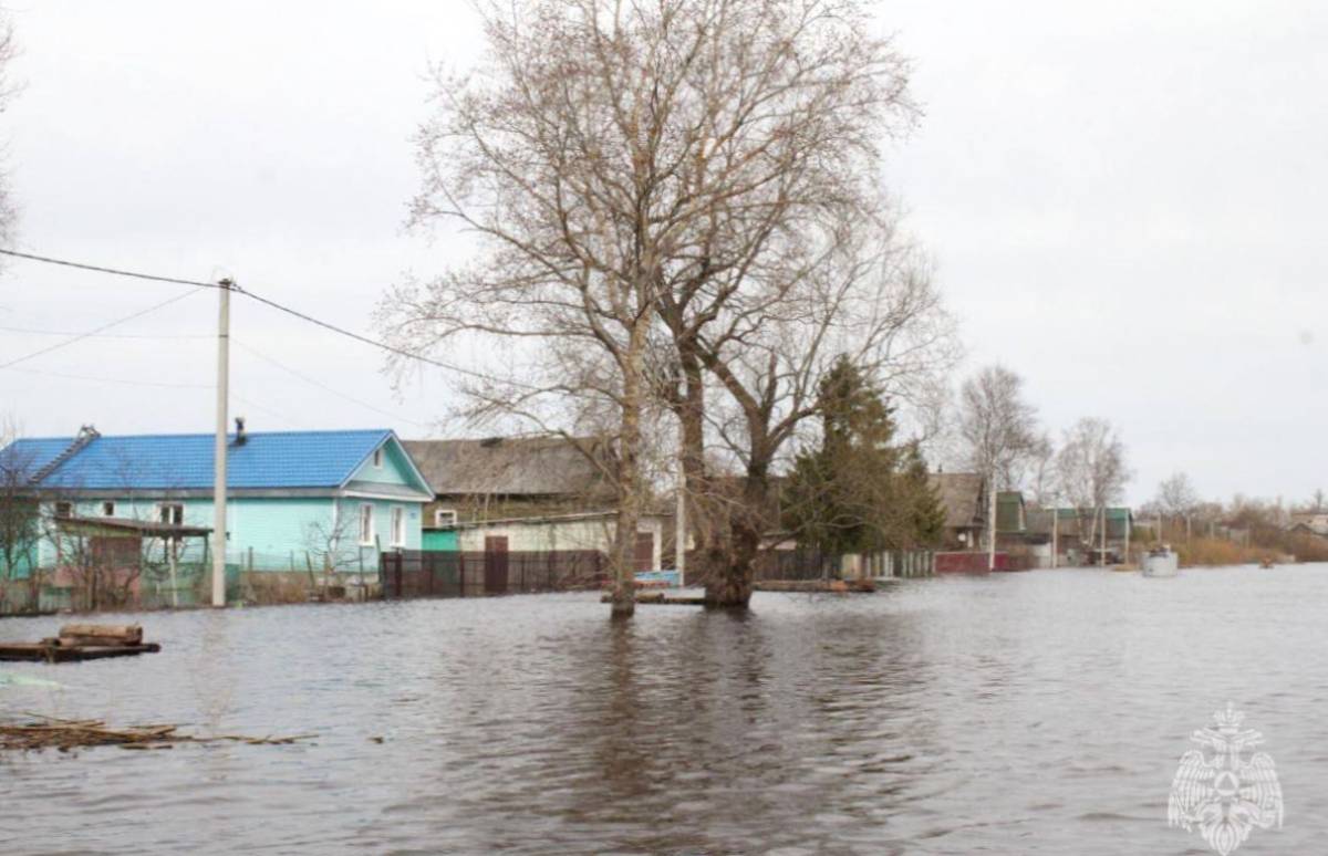 В зоне затопления в Новгородской области находятся 15 участков дорог