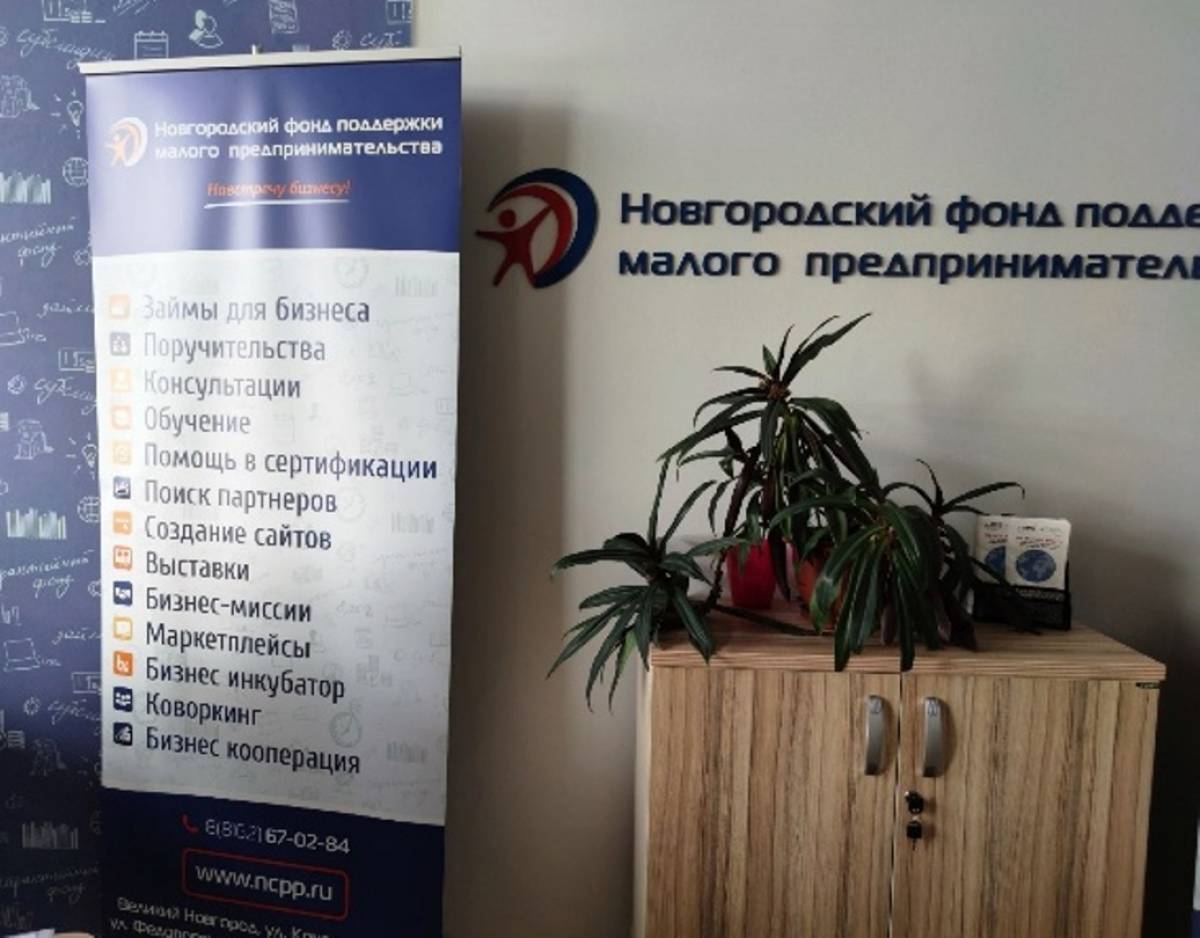 Льготное финансирование получат 10 бизнес-проектов Новгородской области
