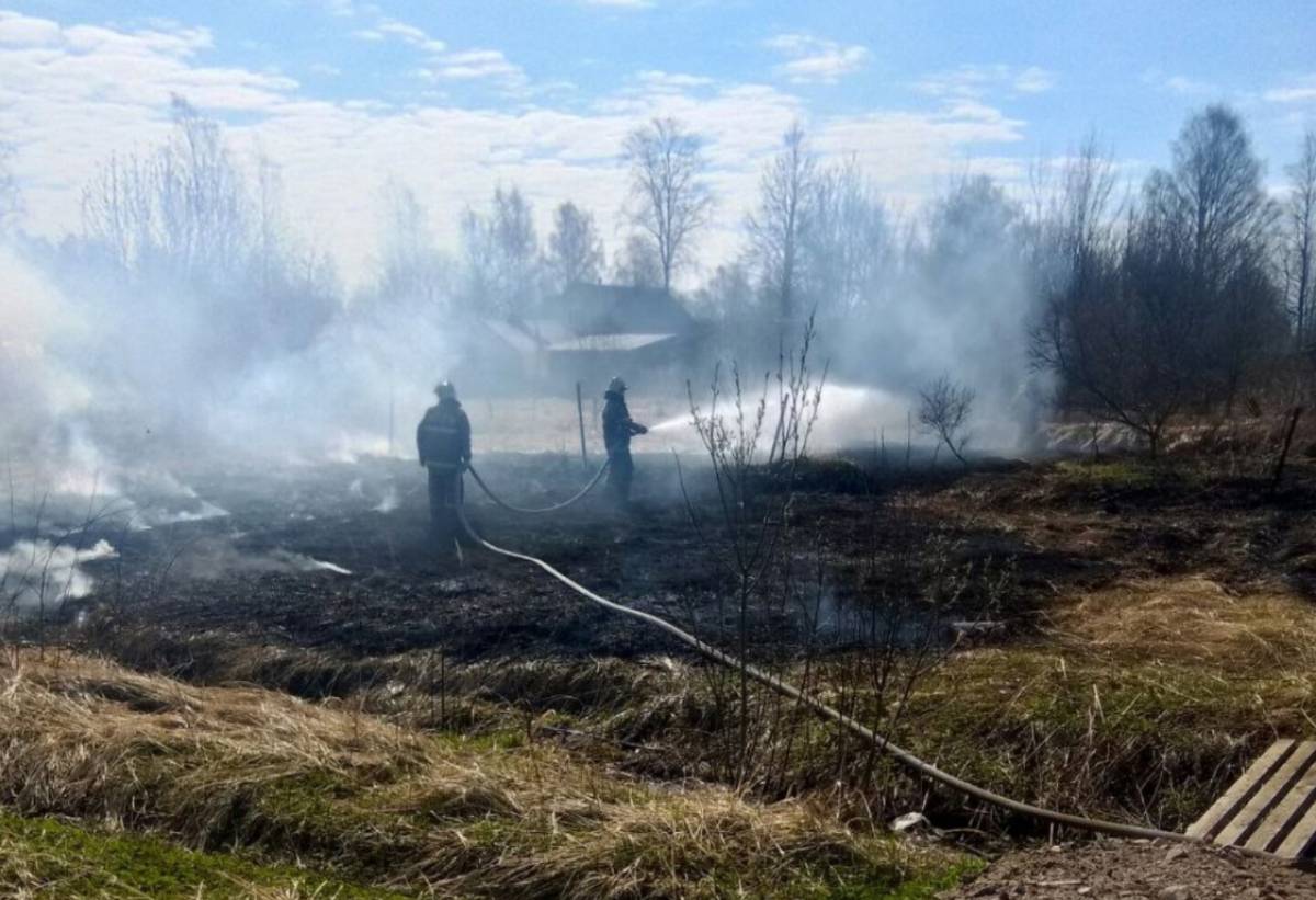 За сутки в регионе произошло 23 пожара, из них 19 – палы травы.