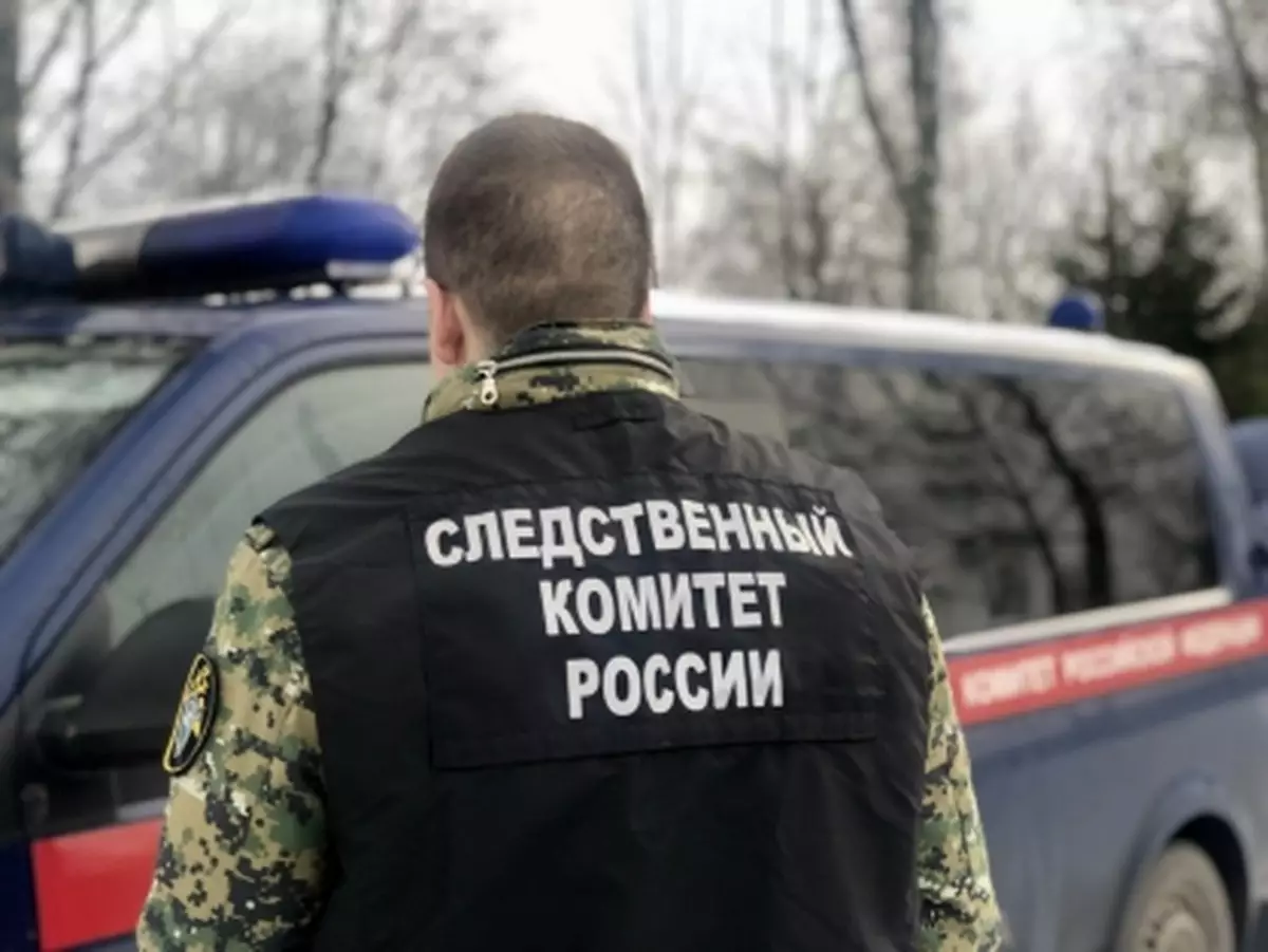 Уголовное дело, возбуждённое в отношении тракториста, расследовали в Следственном управлении СКР по Новгородской области.