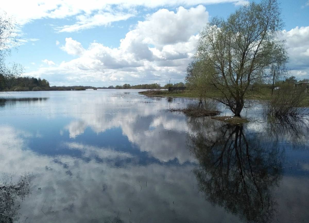 К 11 мая в Новгородской области станет уже почти по-летнему тепло – воздух днём прогреется до 17-22 градусов.