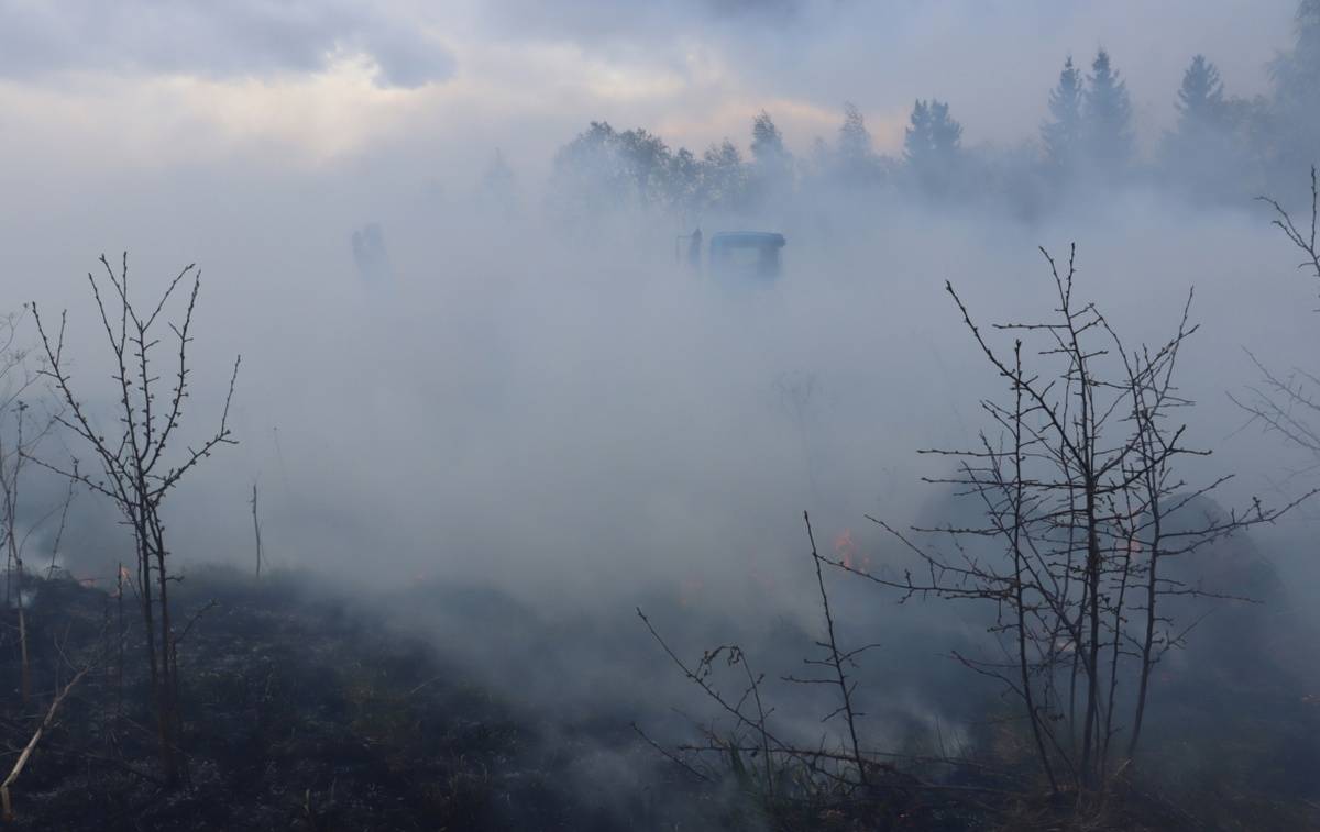 В Новгородском районе ближайшим к лесному пожару населённым пунктом была деревня Пятилипы.