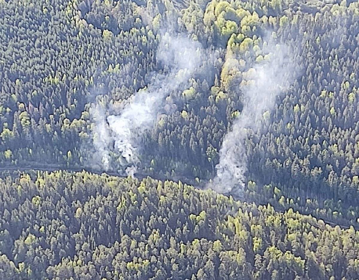 Возгорания возникли на территории Окуловского и Любытинского районов на участках в 3,51 га.