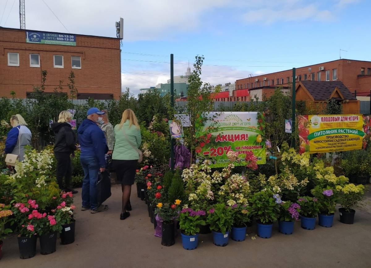 27 и 28 мая на площадке мини-рынка «Западный» пройдет ярмарка «Сад-огород-2023».