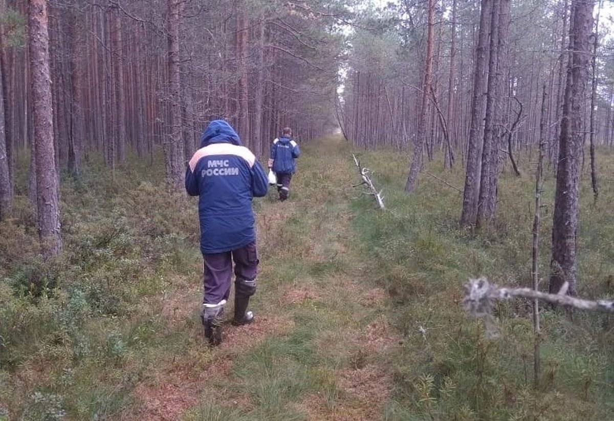 Свежие новости новгородская область. Потерялся в лесу. Человек в лесу. Заблудился в лесу. Лес на связи.