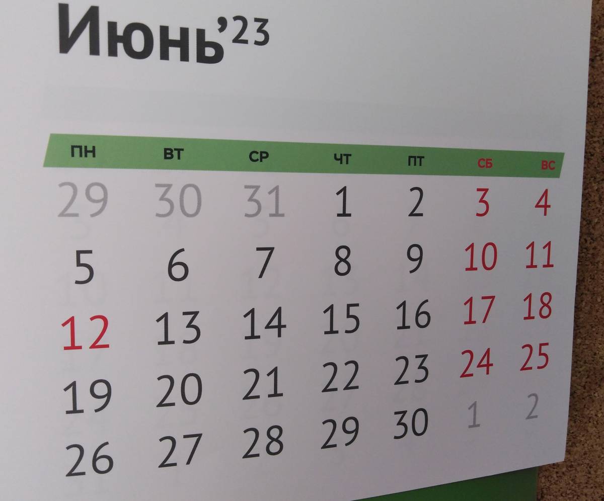 С 1 июня в России вступили в силу несколько новых законов.