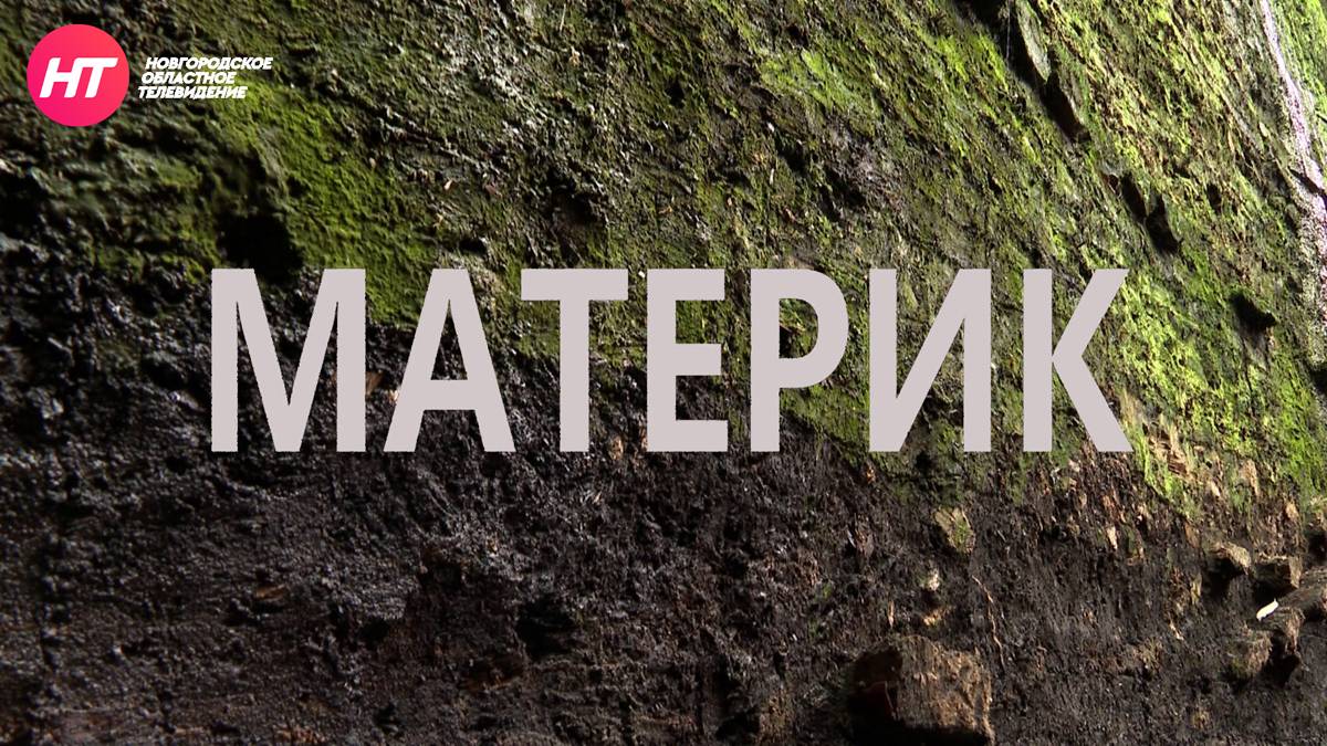 В День России, 12 июня, в 16:00 НТ покажет все серии цикла «Материк».