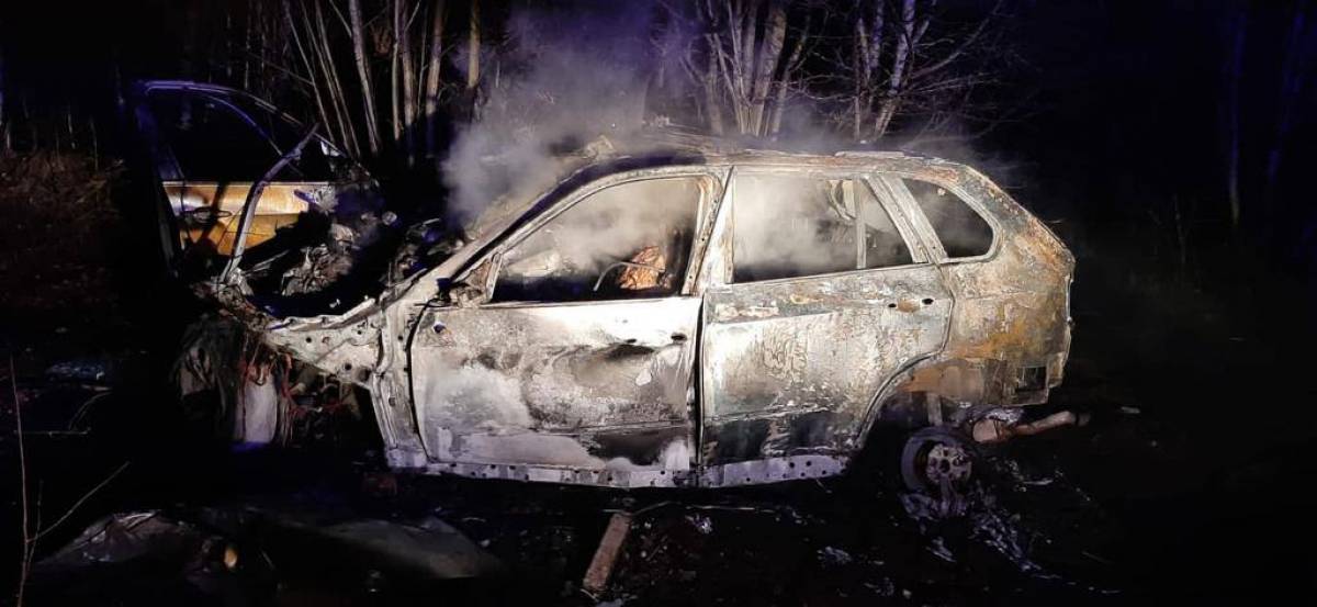 В Любытинском районе в апреле машина по управлением пьяного водителя врезалась в дерево и загорелась.
